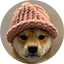 https://cdn-coins.bitpinex.com/image/coin/logo/wif-logo.png