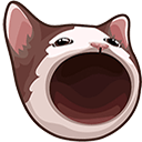 پاپ کت